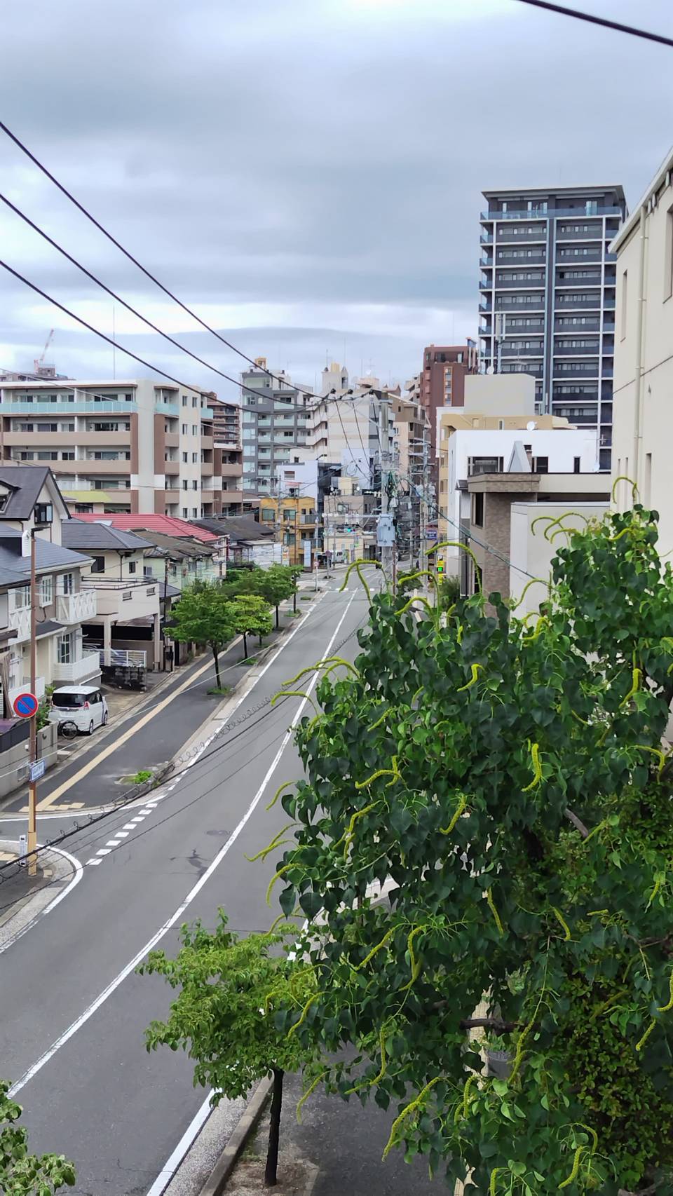 オフィス周辺の街並み（福岡市中央区桜坂）